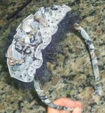 Tiara de preta estampada